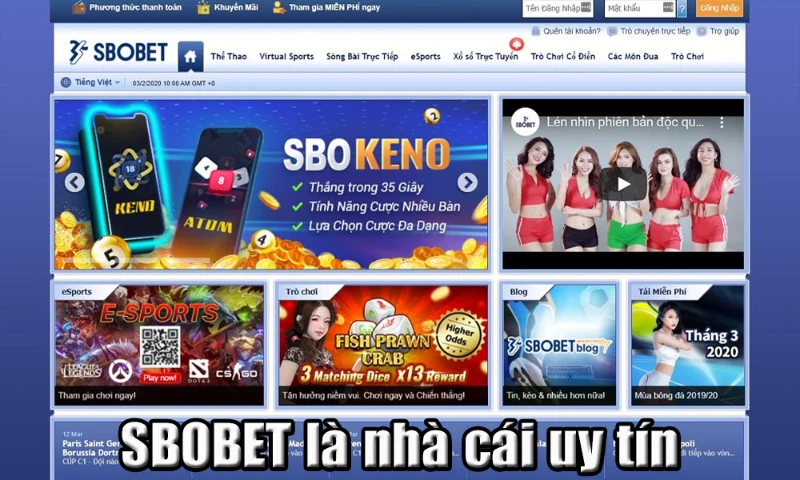 SBOBET nhà cái trả sau uy tín nhất thị trường